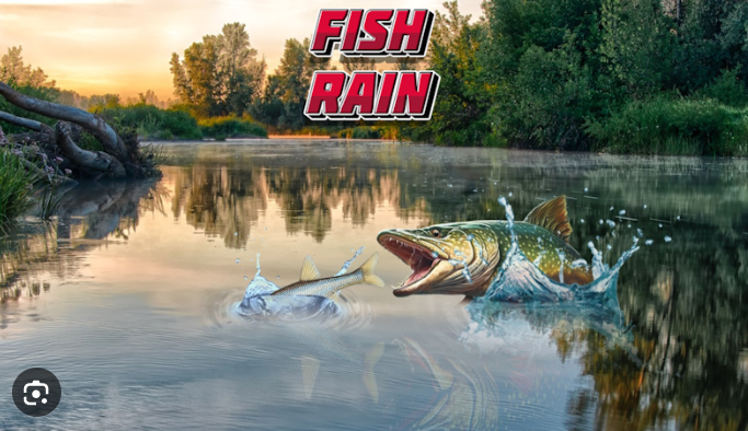 Fish Rain game cover